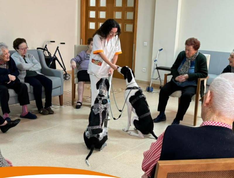 Canine therapy is a monthly enjoyment for elderly residents at Caser Residencial Santo Angel
