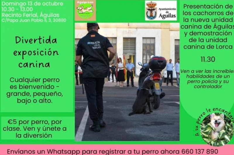 October 13 Fun family dog show in Aguilas