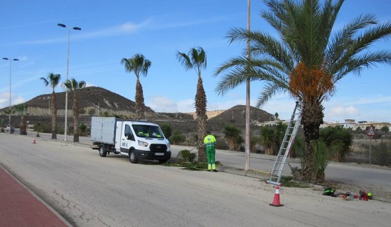 Municipal gardening contractor back to work on Camposol