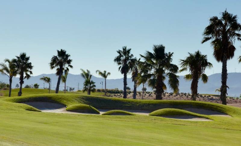 Maintenance schedule for UGolf Murcia golf courses in 2025