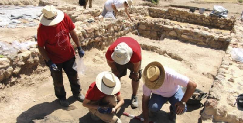 June 14 Free guided tours of the Los Baños archaeological museum in Alhama