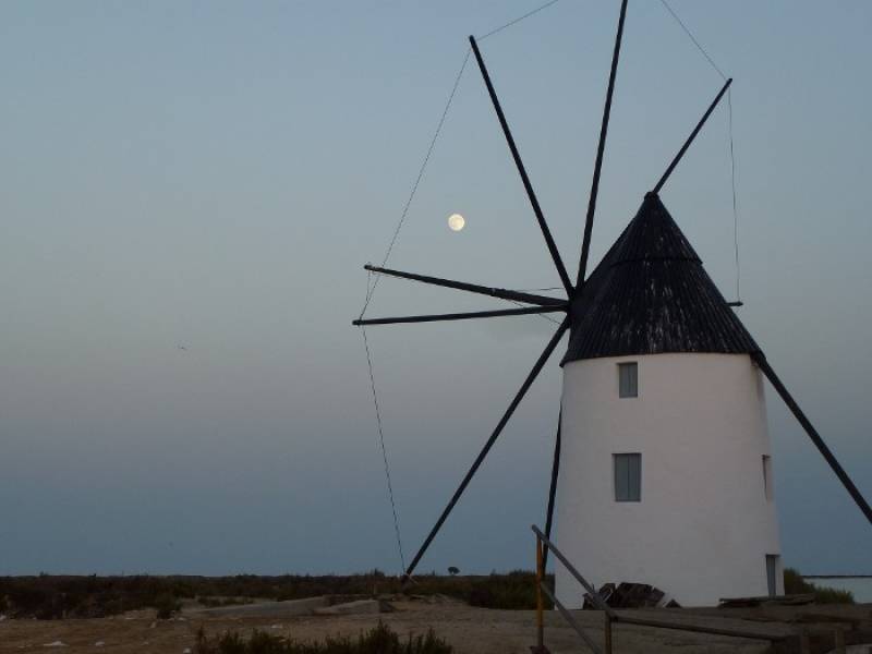 August 9 Free guided walk along the coastlines and salt flats of San Pedro del Pinatar