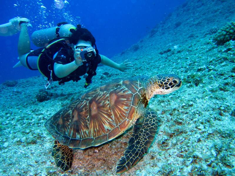 Diving in Murcia region continues to boom, boosting efforts to extend the tourist season