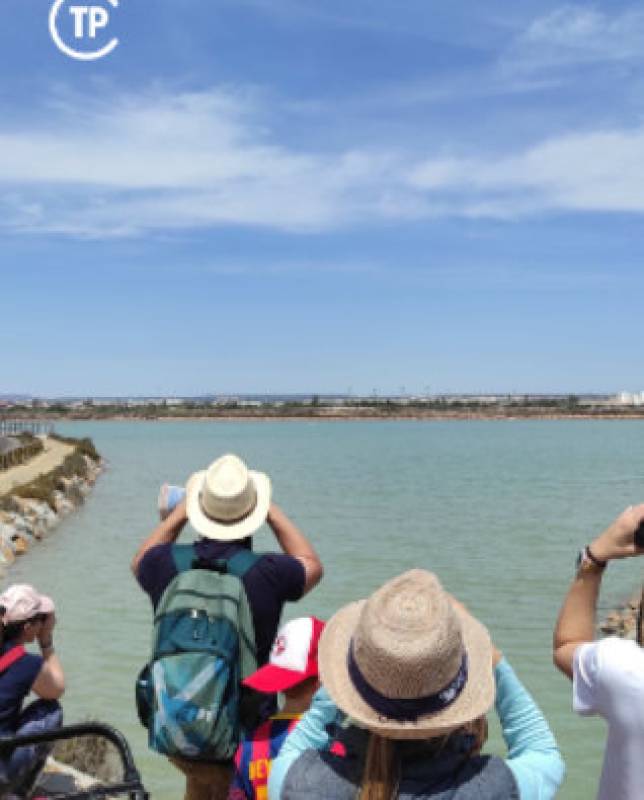October 4 Free gentle bird-watching hike in the sand dunes and salt flats of San Pedro del Pinatar