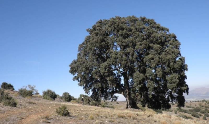 Spanish News Today Editors Roundup Weekly Bulletin Oct 3