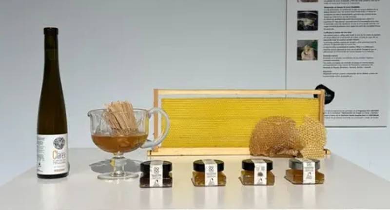 Guatazales in Bullas: Where regenerative farming brings the ancient River of Honey back to life