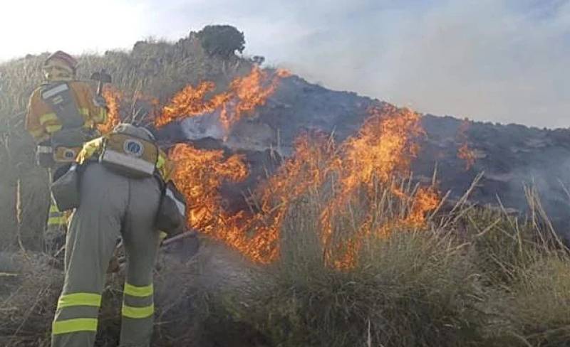 Helicopters and firefighters tackle blaze in Lorca countryside