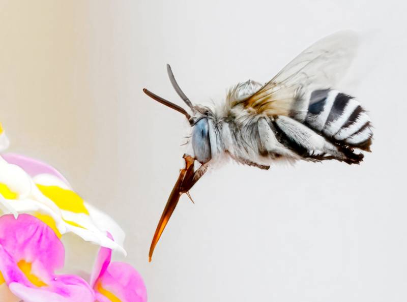 Murcia Photo of the Year 2025: Vote for your favourite!