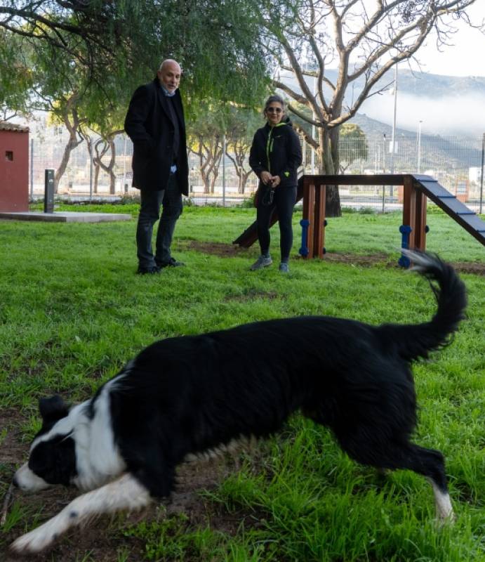 Cartagena's dogs get a new park by the stadium