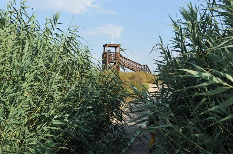 April 19 Free guided visit to see the birdlife in the Lagunas de Campotéjar