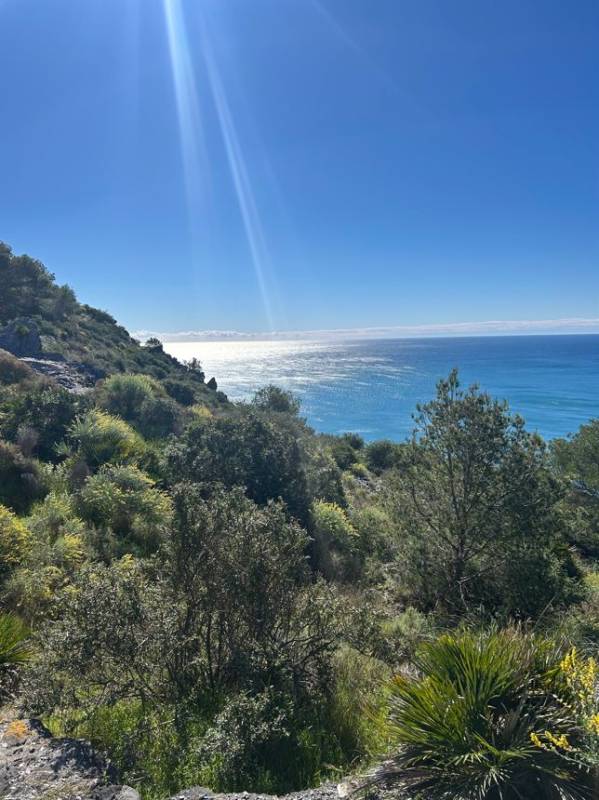 'They have to use their phones in a positive and creative way': Art students continue to wow with their photography and English skills