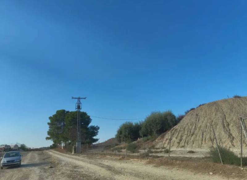 Bird electrocutions on Alicante power line spark fresh environmental protests