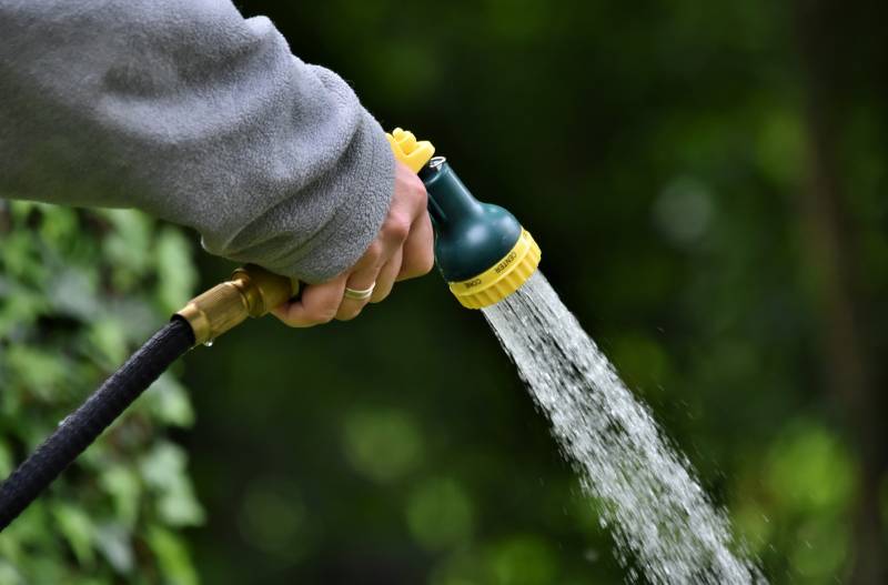 When to water your plants during a Spanish heat wave, and why getting it wrong wastes more than just water