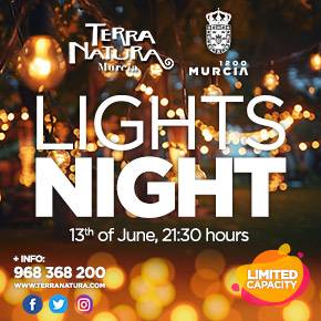 Terra Natura Lights Night
