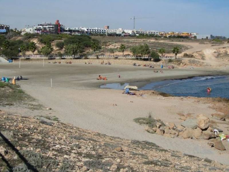 Playa Flamenca